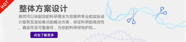 整体方案设计